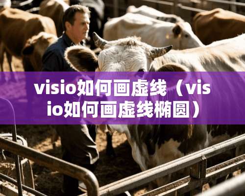 visio如何画虚线（visio如何画虚线椭圆）