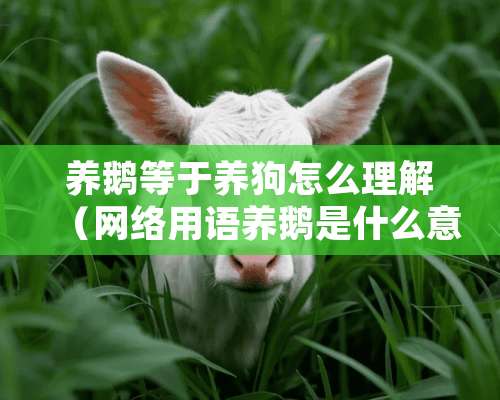 养鹅等于养狗怎么理解（网络用语养鹅是什么意思）