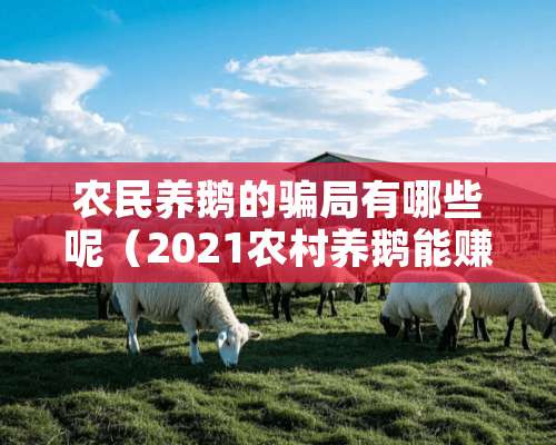 农民养鹅的骗局有哪些呢（2021农村养鹅能赚钱吗）