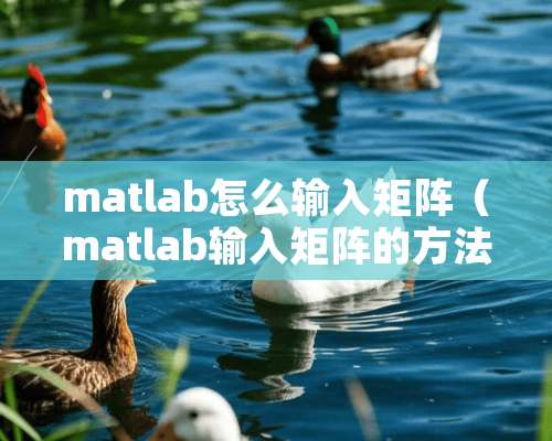 matlab怎么输入矩阵（matlab输入矩阵的方法）