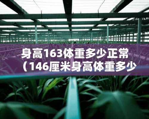 身高163体重多少正常（146厘米身高体重多少才标准）