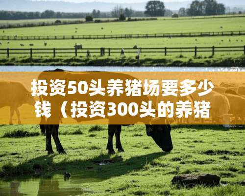 投资50头养猪场要多少钱（投资300头的养猪场）