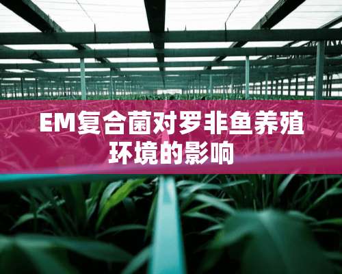 EM复合菌对罗非鱼养殖环境的影响