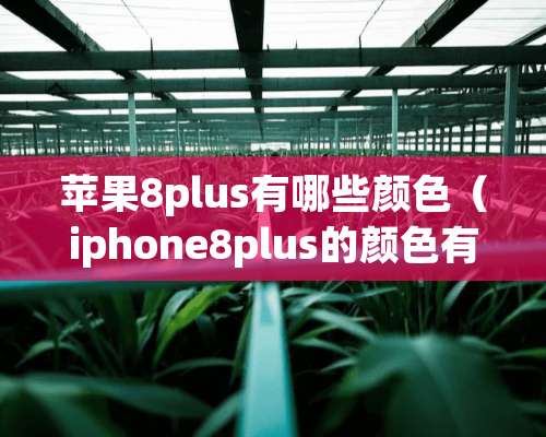 苹果8plus有哪些颜色（iphone8plus的颜色有几种）