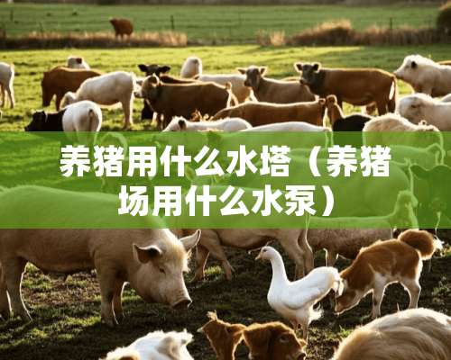 养猪用什么水塔（养猪场用什么水泵）