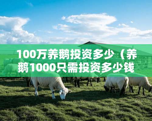 100万养鹅投资多少（养鹅1000只需投资多少钱?一年能收多少钱）