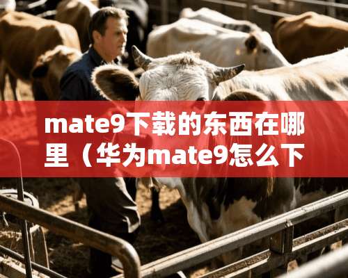 mate9下载的东西在哪里（华为mate9怎么下载软件）