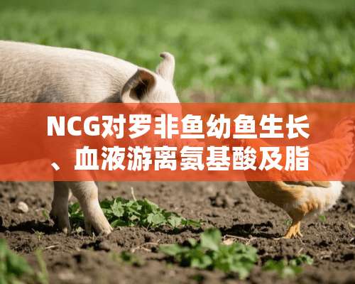 NCG对罗非鱼幼鱼生长、血液游离氨基酸及脂肪沉积的影响