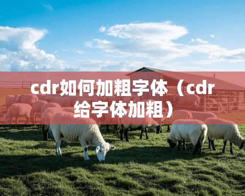 cdr如何加粗字体（cdr给字体加粗）