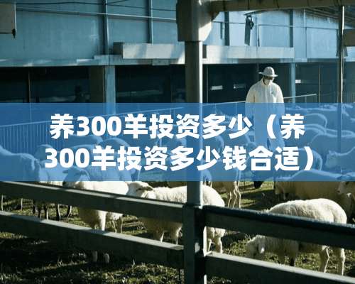 养300羊投资多少（养300羊投资多少钱合适）