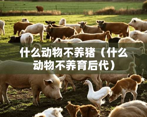 什么动物不养猪（什么动物不养育后代）