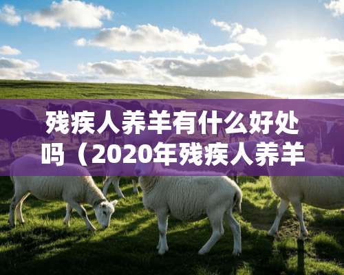 残疾人养羊有什么好处吗（2020年残疾人养羊补贴政策）