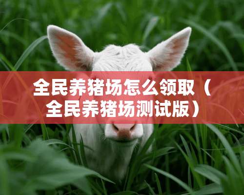 全民养猪场怎么领取（全民养猪场测试版）