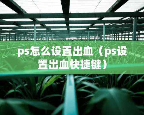 ps怎么设置出血（ps设置出血快捷键）