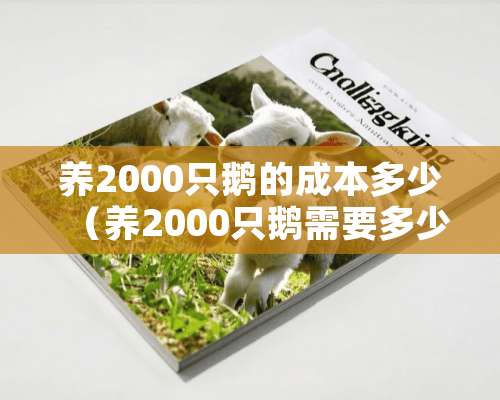 养2000只鹅的成本多少（养2000只鹅需要多少面积）