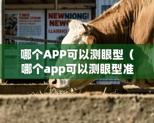 哪个APP可以测眼型（哪个app可以测眼型准确）