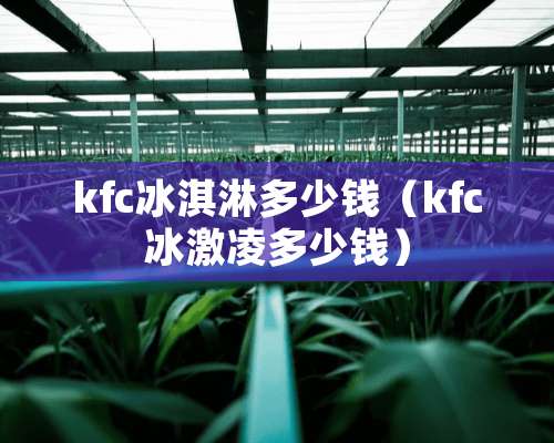 kfc冰淇淋多少钱（kfc冰激凌多少钱）