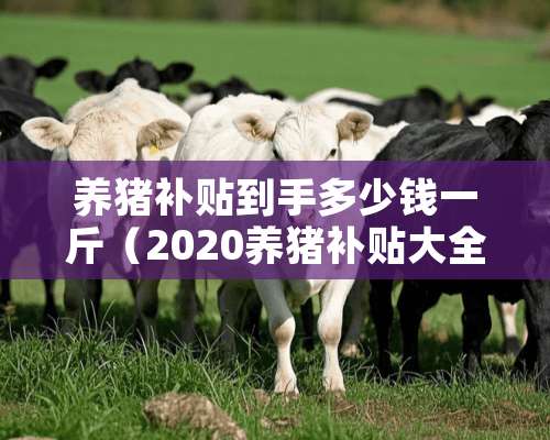 养猪补贴到手多少钱一斤（2020养猪补贴大全）