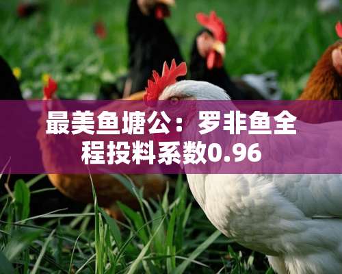 最美鱼塘公：罗非鱼全程投料系数0.96