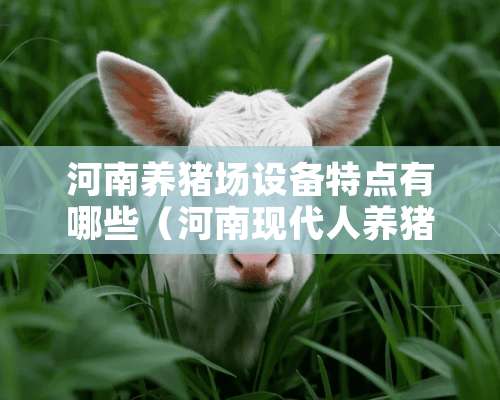 河南养猪场设备特点有哪些（河南现代人养猪设备厂）