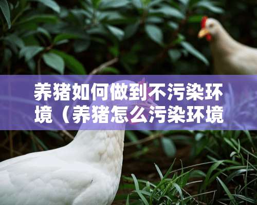 养猪如何做到不污染环境（养猪怎么污染环境）