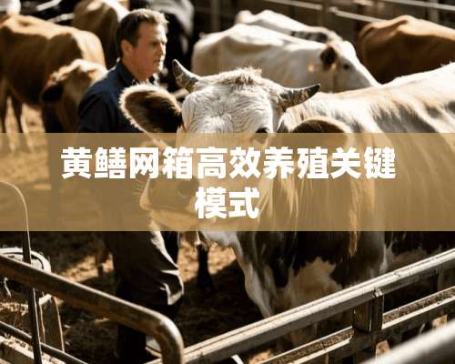 黄鳝网箱高效养殖关键模式