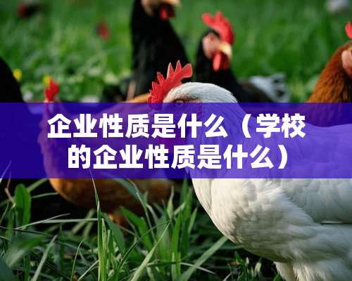 企业性质是什么（学校的企业性质是什么）