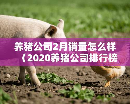 养猪公司2月销量怎么样（2020养猪公司排行榜）