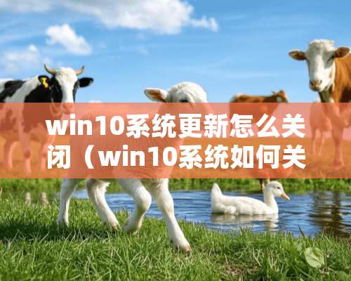 win10系统更新怎么关闭（win10系统如何关掉更新）