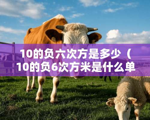 10的负六次方是多少（10的负6次方米是什么单位）