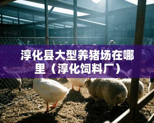 淳化县大型养猪场在哪里（淳化饲料厂）