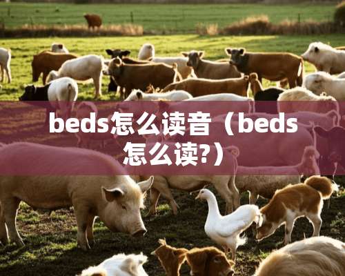 beds怎么读音（beds怎么读?）