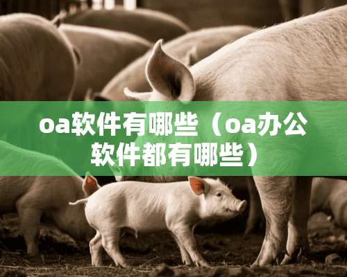 oa软件有哪些（oa办公软件都有哪些）