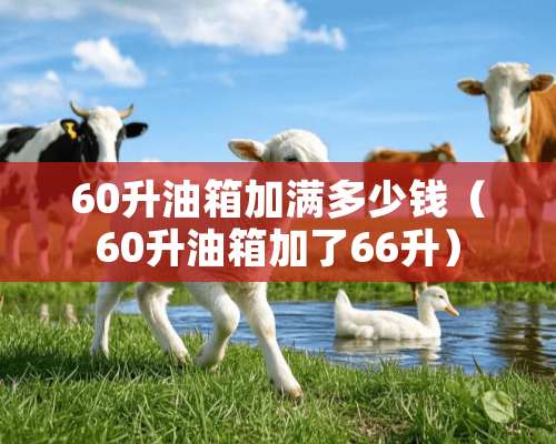 60升油箱加满多少钱（60升油箱加了66升）