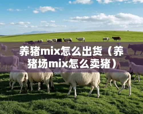 养猪mix怎么出货（养猪场mix怎么卖猪）