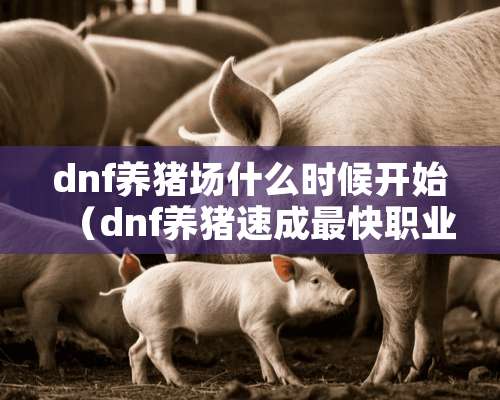 dnf养猪场什么时候开始（dnf养猪速成最快职业）