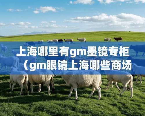 上海哪里有gm墨镜专柜（gm眼镜上海哪些商场有）