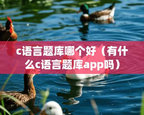 c语言题库哪个好（有什么c语言题库app吗）