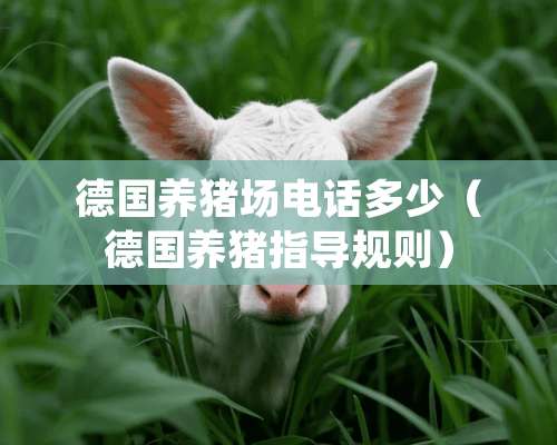 德国养猪场电话多少（德国养猪指导规则）