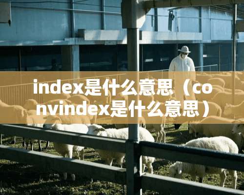 index是什么意思（convindex是什么意思）