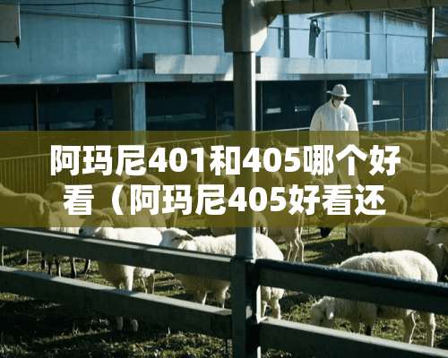 阿玛尼401和405哪个好看（阿玛尼405好看还是402）