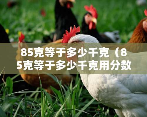 85克等于多少千克（85克等于多少千克用分数表示）