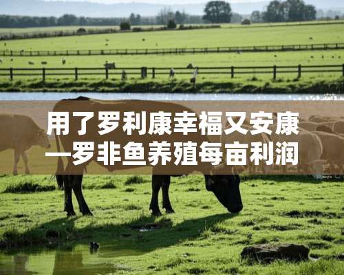 用了罗利康幸福又安康—罗非鱼养殖每亩利润超五千元