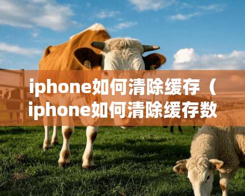 iphone如何清除缓存（iphone如何清除缓存数据）