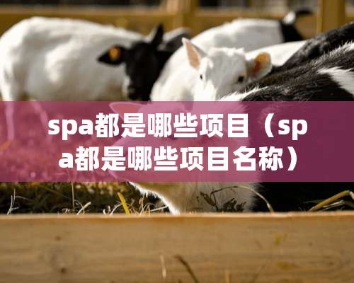 spa都是哪些项目（spa都是哪些项目名称）