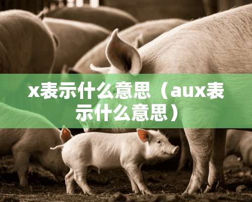 x表示什么意思（aux表示什么意思）