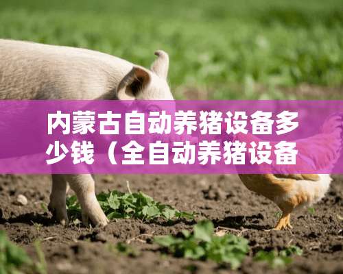 内蒙古自动养猪设备多少钱（全自动养猪设备多少钱一平方）