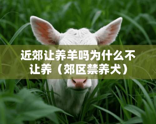 近郊让养羊吗为什么不让养（郊区禁养犬）