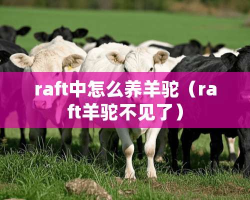 raft中怎么养羊驼（raft羊驼不见了）