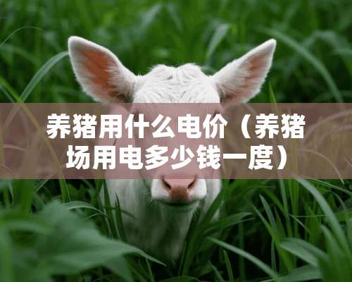 养猪用什么电价（养猪场用电多少钱一度）